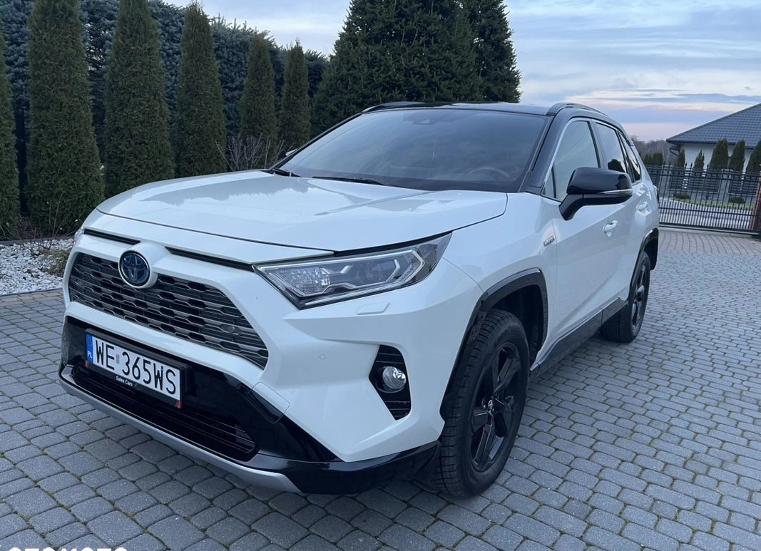 Toyota RAV4 cena 144900 przebieg: 84000, rok produkcji 2019 z Pajęczno małe 704
